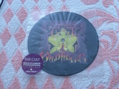 The Cult Wild Flower RARE 1ST UK 7" Picture Disc WITH HYPE STICKER