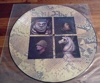 The Cult Dreamtime Picture Disc Goth The Mission Siouxsie Bauhaus Sex Pistols
