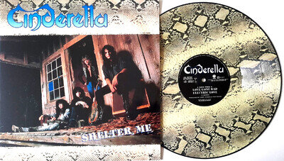 MINT! Cinderella - Shelter Me 12” Picture Disc Snakeskin Vinyl & Poster Sleeve