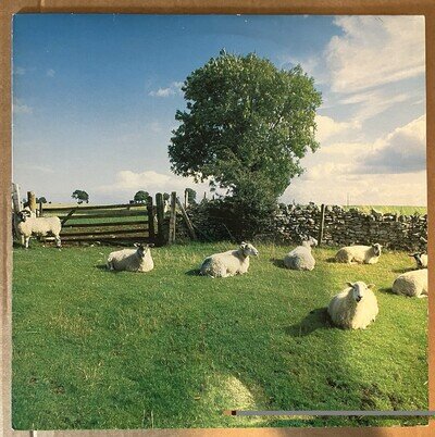The KLF Chill Out JAMS LP5 1990 12" Black Vinyl LP 33RPM Ambient Electronic