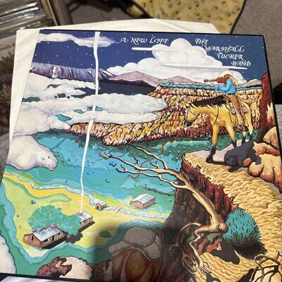 The Marshall Tucker Band-A New Life-vinyl LP Capricorn Records ex-ex