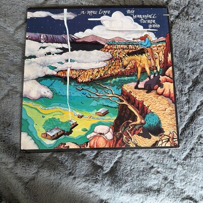 The Marshall Tucker Band A New Life Vinyl LP BP3662 Vinyl