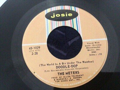 The Meters ( The world is a bit under the weather) Doodle oop 7" record.