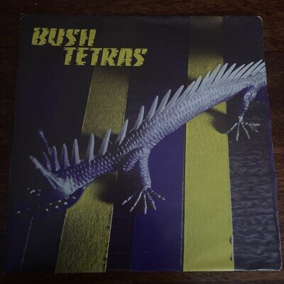 Bush Tetras Too Many Creeps 7” Vinyl 99 Recs Ex /ex