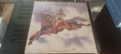 Lovely 1st Pressing of Budgie Vinyl LP
