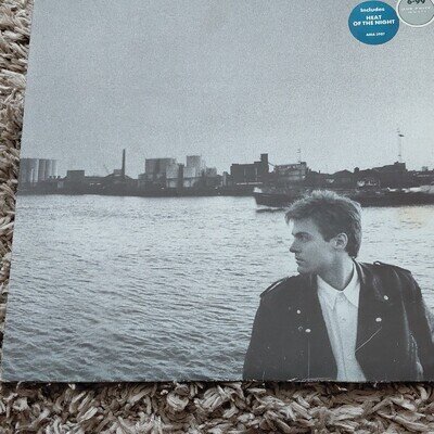 Bryan Adams Into The Fire A&M Records 1987 AMA 3907 12" Black Vinyl LP