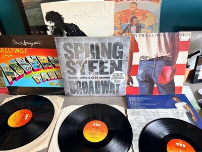 bruce springsteen vinyl record bundle