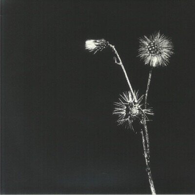 DASILVA, Jon/SKYSKRAPA feat DONALD WAUGH - Sun Brings Joy - Vinyl (12")