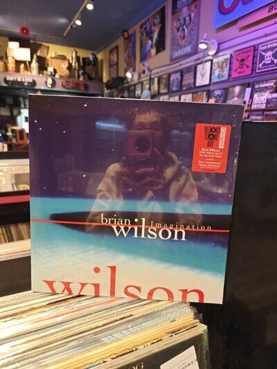 Brian Wilson - Imagination - Record Store Day Exclusive 12" Vinyl LP 2026 New