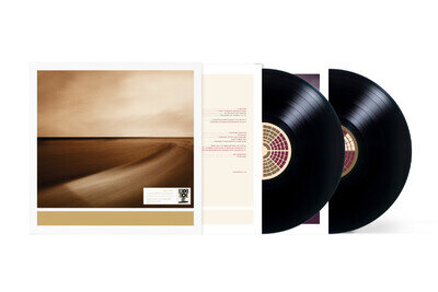 Brian Eno - Small Craft On A Milk Sea - 2LP 140g Vinyl RSD 2026