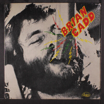 Brian Cadd - Brian Cadd LP Record 1973 Chelsea Rock Pop 33 RPM! NEW RARE OOP LP