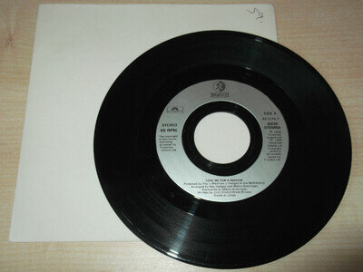 Boyzone Love Me For A Reason 7" Hit Record