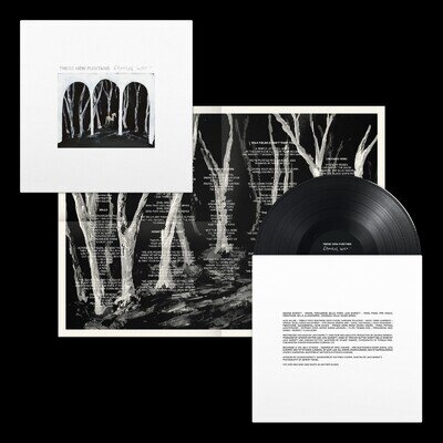 These New Puritans Crooked Wing (Vinyl) 12" Album
