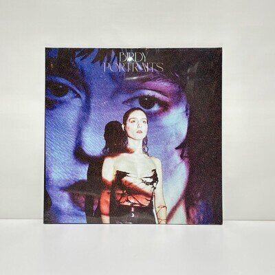 Birdy portraits vinyl record