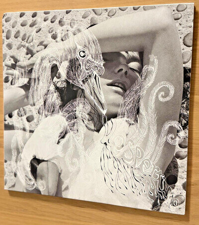 Vespertine by Bjork (Record, 2012)