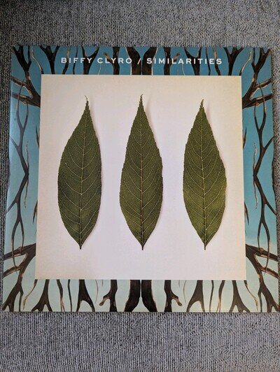 Biffy Clyro Similarities Vinyl 2LP