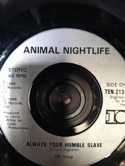 Animal Nightlife - Always your humble slave/Badlands on 10 records label.