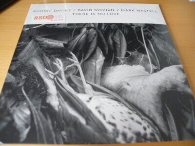 Rhodri Davies / David Sylvian / Mark Wastell There Is No Love 12" Vinyl RSD NEW