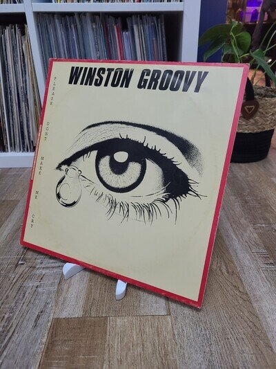 Winston Groovy Please Don't Make Me Cry 12" Vinyl LP WG Records '90 Soul Reggae