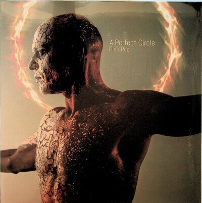 A PERFECT CIRCLE- Pink Pop 2018 Live 2-LP (NEW SEALED Vinyl) Alt Rock