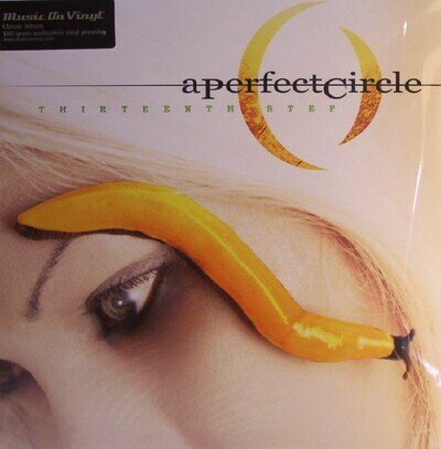 A PERFECT CIRCLE - Thirteenth Step - gatefold 180 gram audiophile vinyl 2xLP
