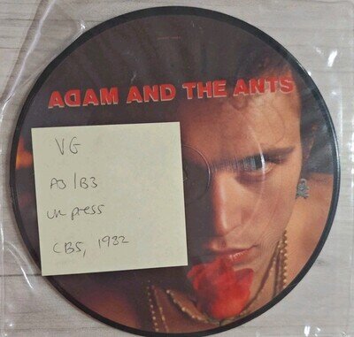 Adam And The Ants Goody Two Shoes Vinyl Record Picture Disc VG A112367 1982