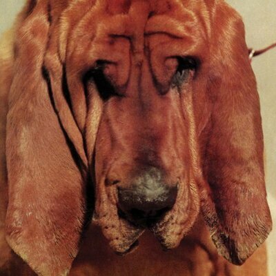 Ty Segall - Goodbye Bread [VINYL]