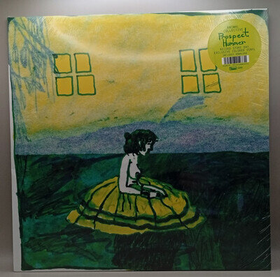 Animal Collective ‎Prospect Hummer 12" 45RPM Vinyl Domino AC103T RSD 2021 Sealed