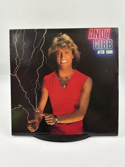 ANDY GIBB AFTER DARK RSO RECORD LP Vinyl Disco EX/VG+