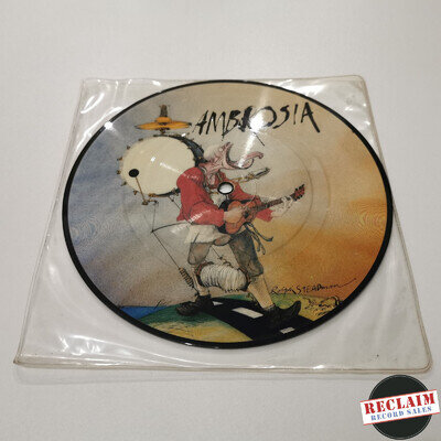 ambrosia - how can you love me 7" picture disc vinyl record VG