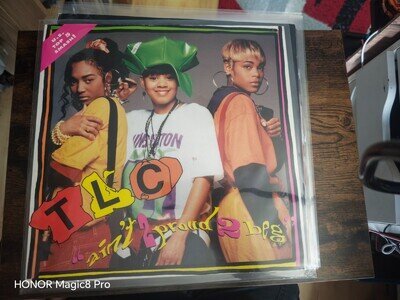 TLC AINT TO PROUD TO BEG 12'' VINYL