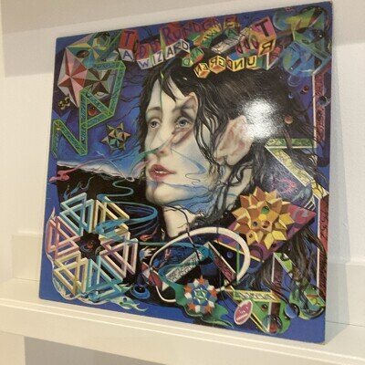 Todd Rundgren - a Wizard, a True Star (1980 UK Press Vinyl LP)