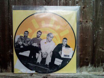All Time Low Wake Up Sunshine 12'' Vinyl Picture Disc Album 2020 BN
