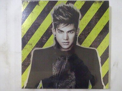 Adam Lambert Trespassing 19 Recordings none US sealed VINYL LP