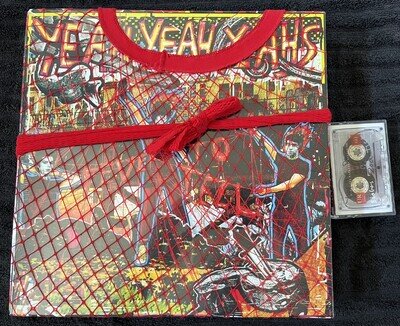 Yeah Yeah Yeahs Signed Limited Edition Fever to Tell Deluxe Box Set Vinyl NEW