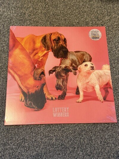 2026 GOLD EDITION - The Lottery Winners By The Lottery Winners - Ltd Vinyl
