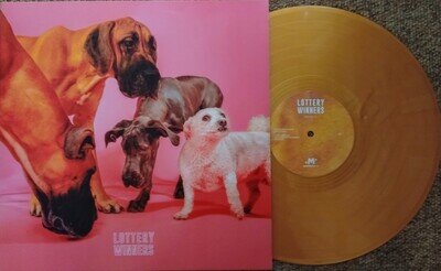 The Lottery Winner Debut LP. Special Gold Vinyl pressing