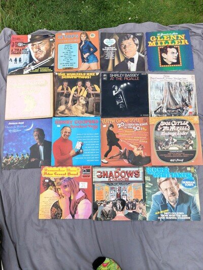 15+ Record Bundle 15" Job Lot