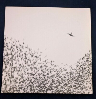 Wilco - Sky Blue Sky VINYL 2LP 2007 Pressing
