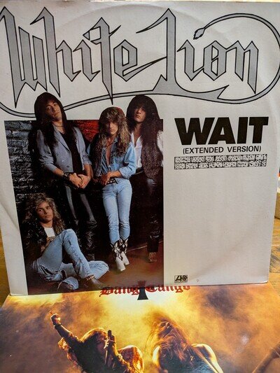 White Lion Wait (Extended Version) Vinyl Record Atlantic A9063TW