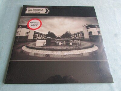 Noel Gallagher's High Flying Birds ' Council Skies' New & Sealed Vinyl With 7"