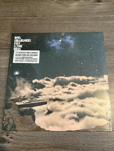 Noel Gallagher’s High Flying Birds It's A Beautiful World 12" Monochrome- oasis