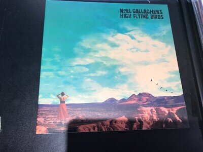 Noel Gallagher's High Flying Birds - Who Built The Moon - White Vinyl LP - EX/EX