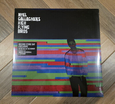 Noel Gallagher's High Flying Birds - In The Heat Of The Moment 12" Vinyl RSD