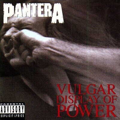 Pantera | Vulgar Display Of Power | Vinyl LP - White and True