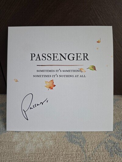 Passenger Sometimes Its Something SIGNED AUTOGRAPHED Vinyl Record Album LP