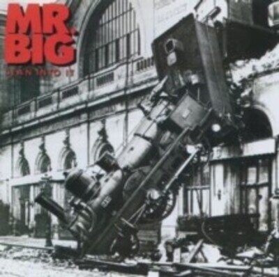 MR BIG - LEAN INTO IT 30TH ANNIVERSARY EDITION - Vinyl Record - K4z