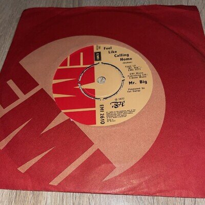 Mr Big Vinyl