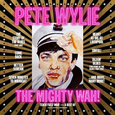 Pete Wylie The Mig - Teach Yself WAH! - A Best of - Used Vinyl Reco - J1362z
