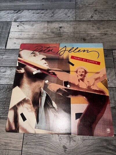 Peter Allen - Taught By Experts - 12” Vinyl Record LP - 1976 A&M UK 1st Press VG